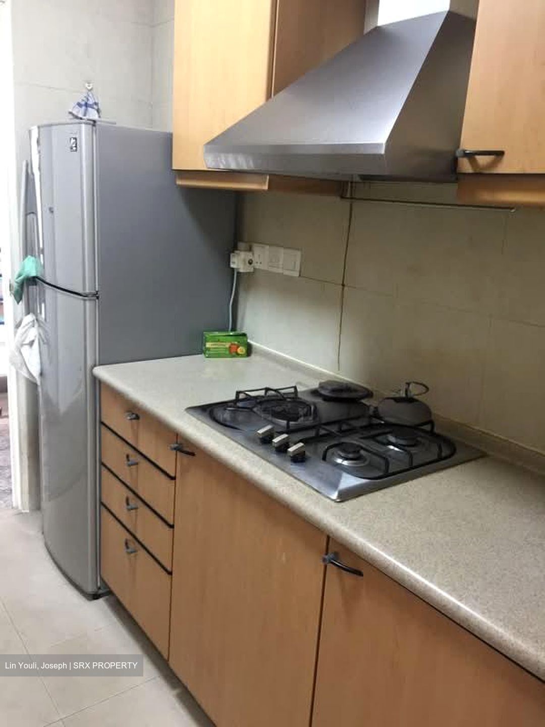 Nineteen Shelford Road (D11), Condominium #568751281
